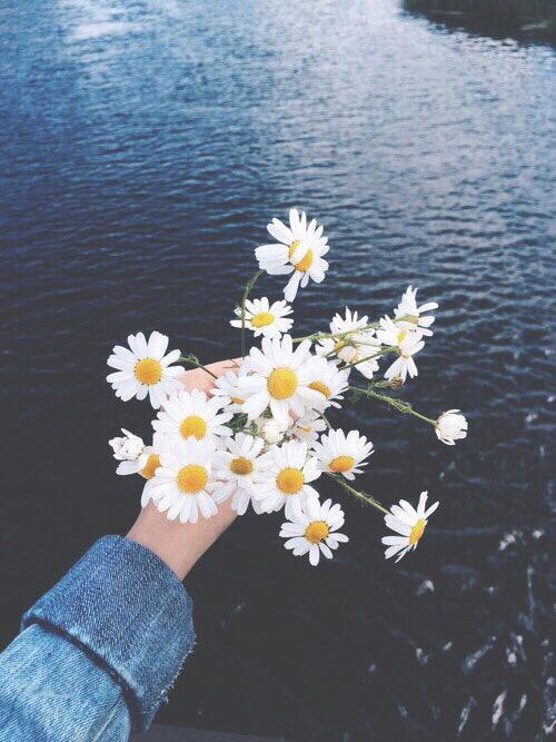 TiffanyDiaries's tweet photo. flowers r pretty http://t.co/ohToLqBdUF