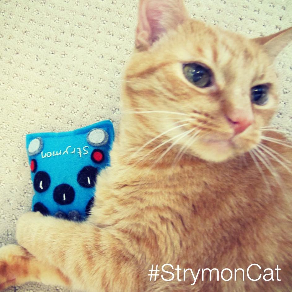 Strymon tweet media