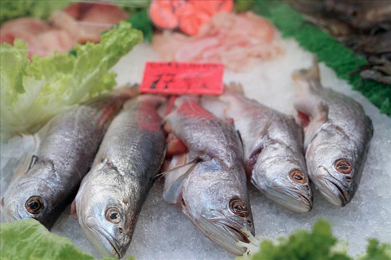 ActualidadPTY's tweet photo. Dieta atlántica previene  ... - http://t.co/Yh2tIc6pVp #PANAMA #RT #FAV #NOTICIAS #NEWS #FOLLOWBACK #SIGUEMETESIGO http://t.co/vmmXhylIub