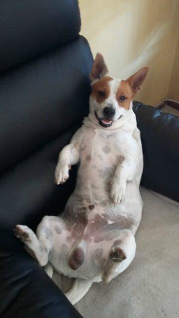 CandyNicky23's tweet photo. #JustChillin http://t.co/cRCA2p6VPb