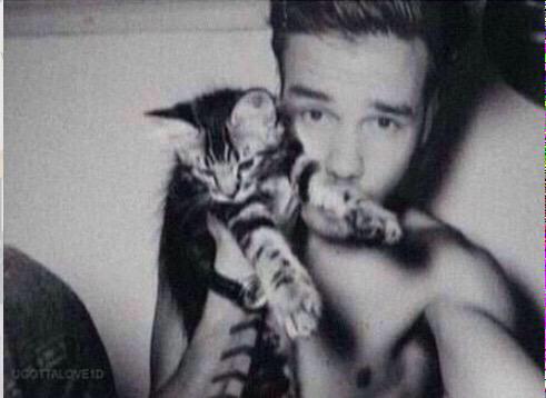 1D_my_savers's tweet photo. Thanks for sending me to heaven with this pic! 😇😍😄 @neelybuggg http://t.co/WrwZcDTueU