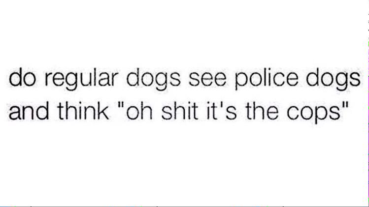 dantaylor473's tweet image. 