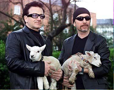 c_w_p_c's tweet photo. With or without ewe? http://t.co/TXtLRpyngx