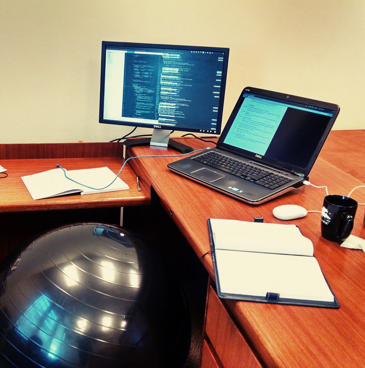 FitMango_Devs's tweet image. Loving our new @BMPFitness exercise balls in the @ShapeUOfficial offices! Stronger core = stronger code, right?