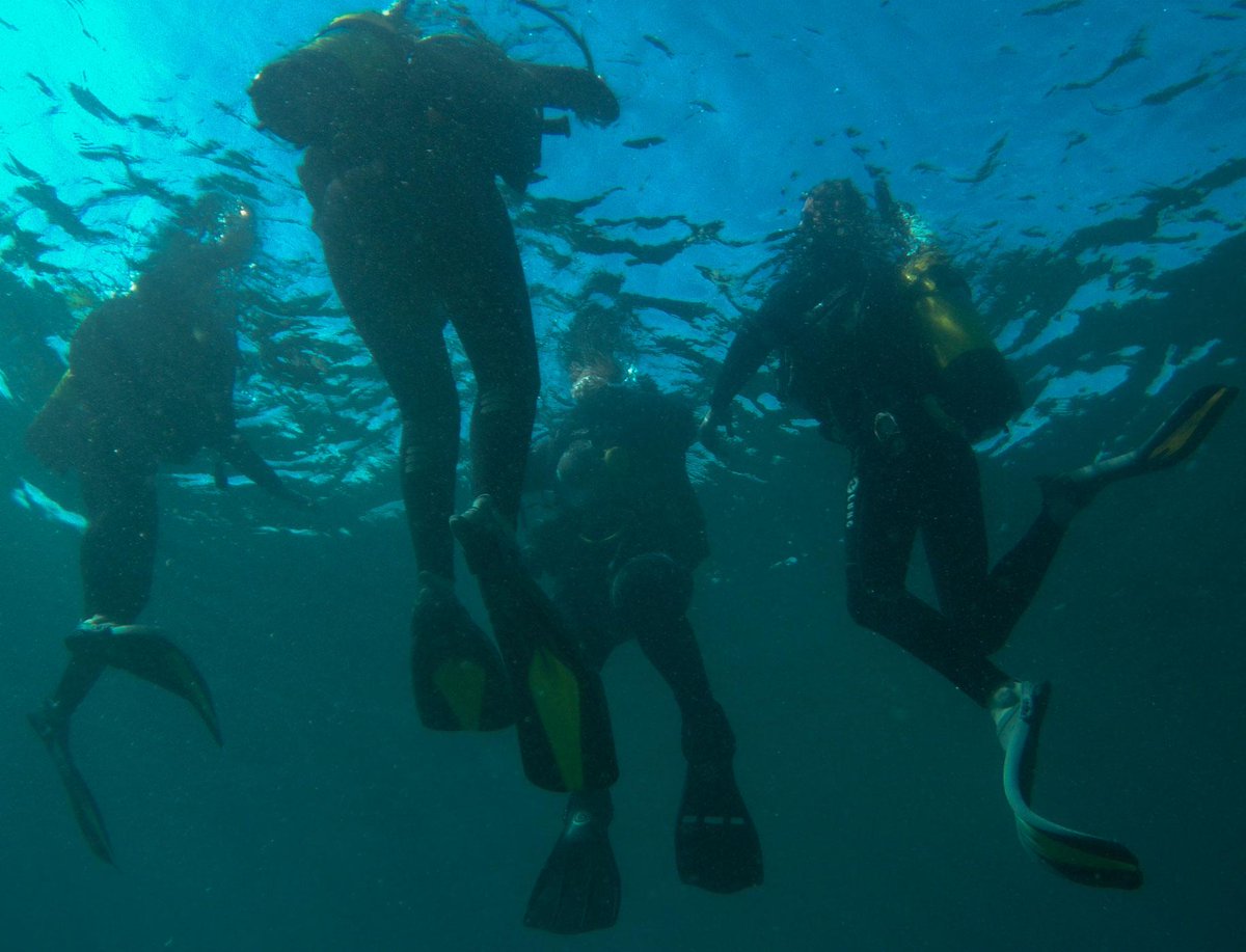 TierraAzulMulti's tweet image. #Bautizo de #buceo de Paloma e #inmersión de Lucia. con tierraazulcenter.com