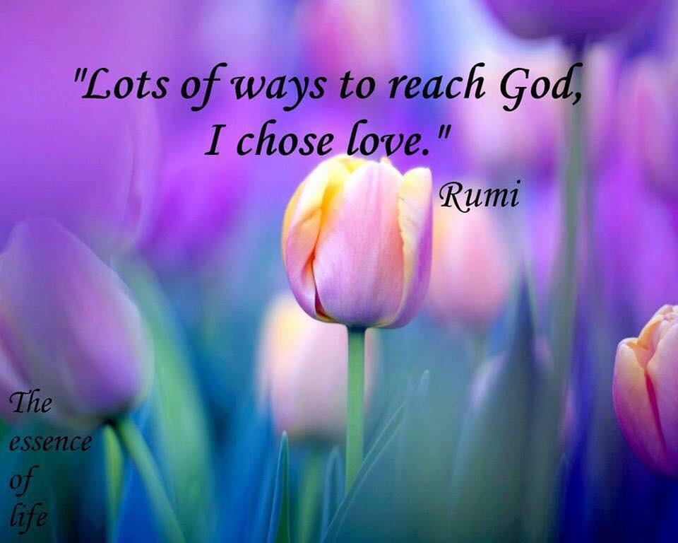 There are many ways to reach #God. I chose #Love. #RUMI #JoyTrain #Love #Peace #Kindness RT @Iran_Style