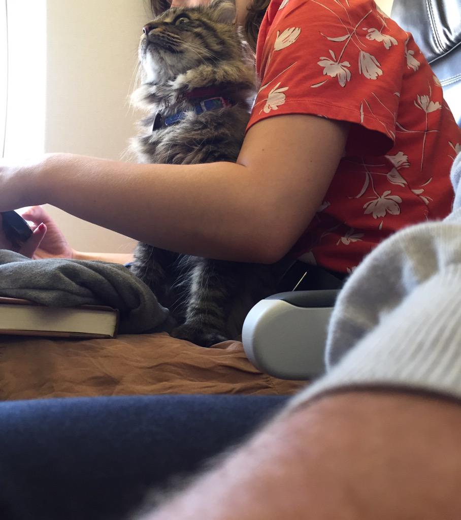 John Ohail tweet media