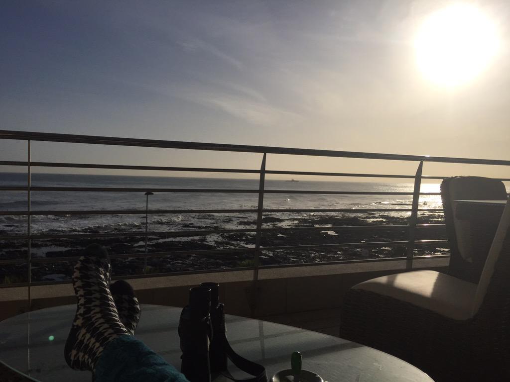 Telzy's tweet image. My morning view this past week has not been shit... #winning