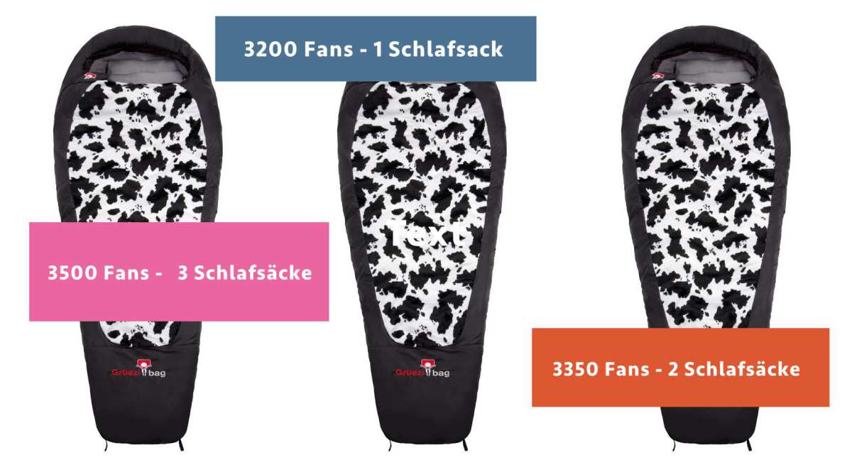 Grüezi Bag Gewinnspiel – SCHLAFSACK gruezibagblog.com/2015/06/17/gru…