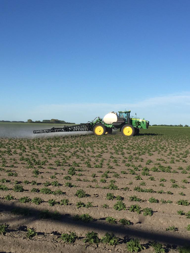 FarmerFalk's tweet photo. Spaying spuds @20 gallons per acre. #dieweeds http://t.co/2s8RyXFIHR