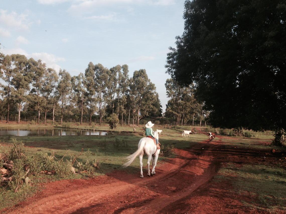 4th Generation Riding horse at 5 years old #TheVivancos #ElRanchito #AgaveFields
