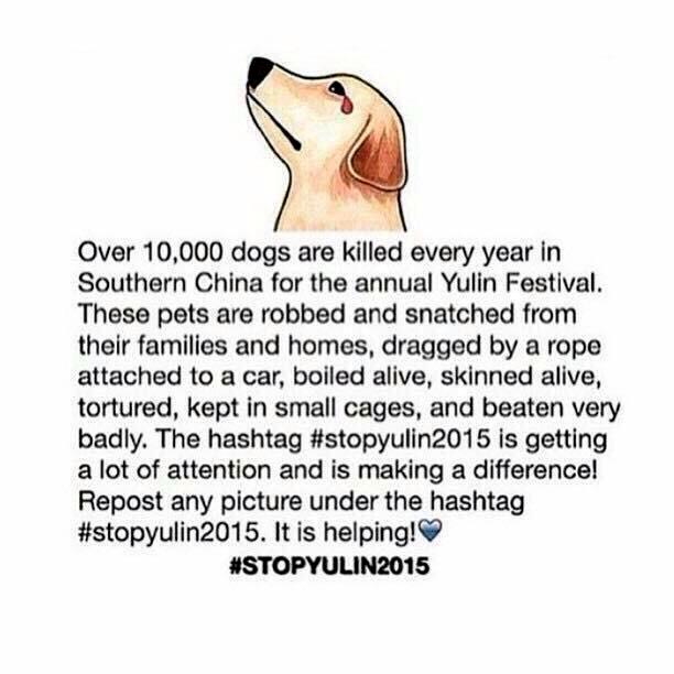 mirandaibanez's tweet photo. 😖🙏🏼 #StopYuLin2015 #STOPYULIN2015 http://t.co/eOb0JM6gk9