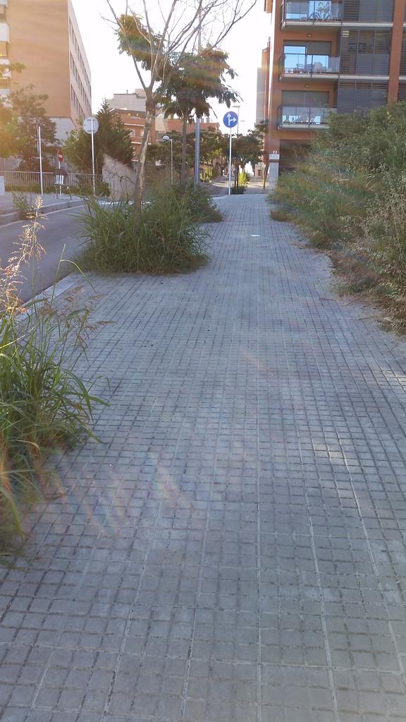 Cristian Ruiz tweet media