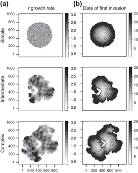 ebook natural image statistics a probabilistic