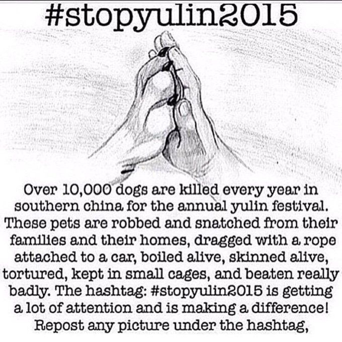 Sign please https://t.co/dr8QLkmLOj http://t.co/oGsMYpp9ys<a href="/tag/santaslittlehelper"class="tags"><span>#santaslittlehelper</span></a><a href="/tag/oups"class="tags"><span>#oups</span></a>