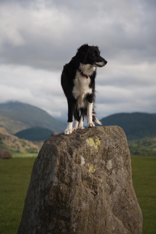 That's more like it - young upstarts