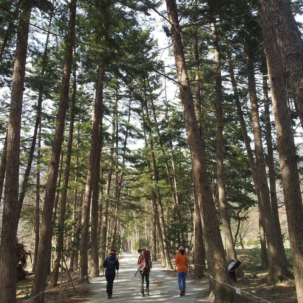 함께 걸을 때 아름답습니다.  함께 할 때 힘이 납니다.  깨끗한 선거로 가는 길,  정책선거로 향하는 길.  유권자와 후보자와 선관위가 함께 할때 아름답고 힘이 납니다.