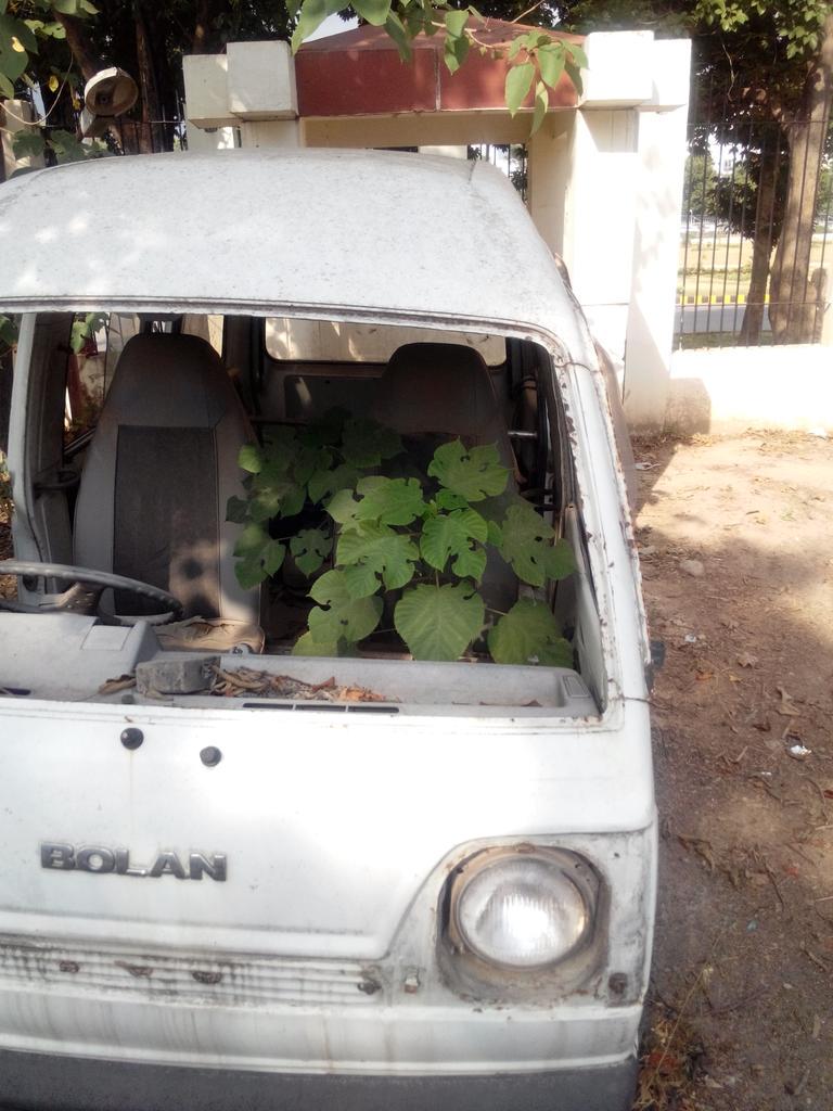 X E E H A N This Car Has Been Standing Here For Years A Plant Came Out Of It Tells The Story Officeparking Http T Co 0ri3oqa0kc