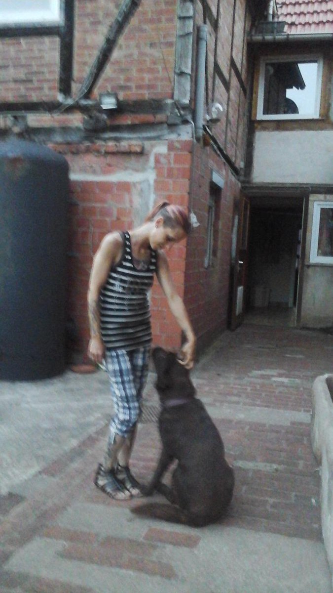 lutteropp's tweet image. My dog and live....😊