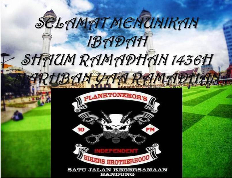 Planktonemors BDG tweet media