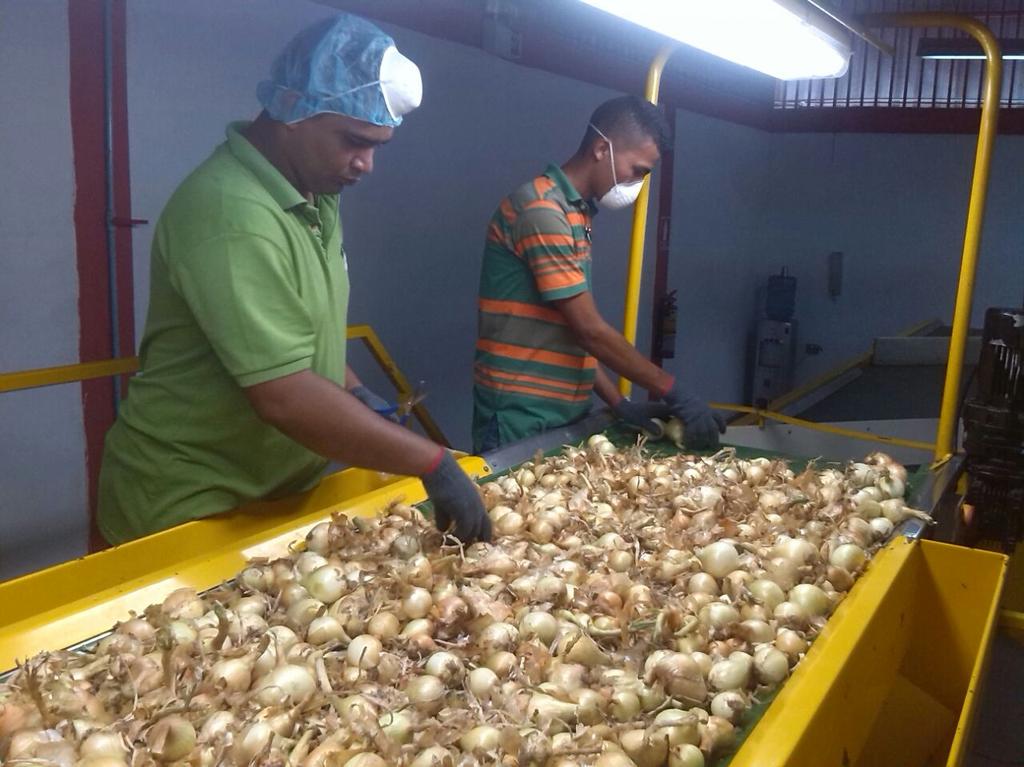 hljohan's tweet photo. Arrime a plantas procesadoras y acondicionadoras de la mision alimentación para el pleno abastecimiento de hortalizas http://t.co/O2D5h7Y4xF