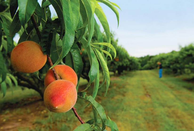 Come for an intimate experience at <a href="/sunnybrookwine/">Sunnybrook Wine</a>'s tasting bar this summer! sunnybrookwine.com #OntarioWineWeek