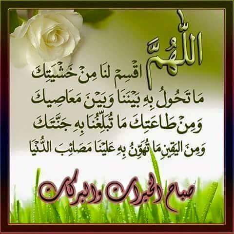 mslm_ah's tweet photo. @Aa67Aya234 @aass3891 @vvcddcfdfd @fdfdabd @fu_ice @majjnony @miecraft9397gm1 @H234K 
اللهم آمين يارب العالمين http://t.co/BJDBbNCYOz