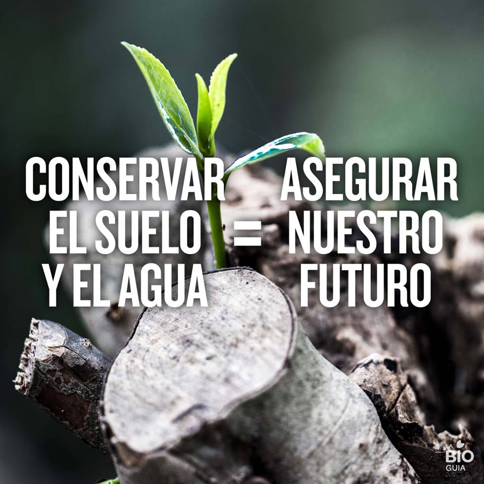 Buenos dias, el dato de hoy.