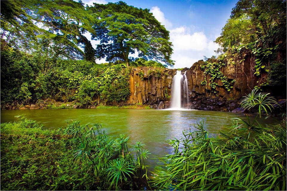 I love chasing waterfalls but Jurassic World waterfalls are definitely the best! JUMP!!!