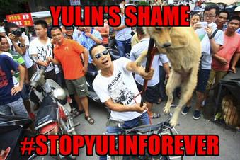Protect_Wldlife's tweet image. To them it is 'tradition' and 'culture', to me (and you)  it is medieval barbarianism!! #StopYulinFOREVER