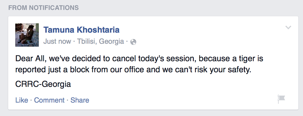 Sololackey's tweet photo. Tonight's lecture canceled after block goes on lockdown for tiger roundup #tbilisiflood #jumanji http://t.co/60aetGx05R