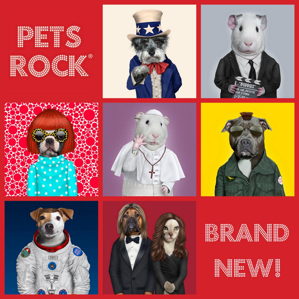 PETSROCKJapan (petsrock_fifth) Twitter