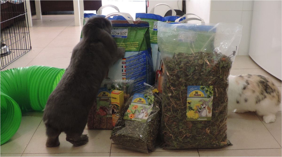 diariodunconejo's tweet photo. Como locos de contentos con el pedido de @zooplus_es #jrfarm #pedido #conejos #felices #bunny #rabbit #comida http://t.co/R6rV0zjnei