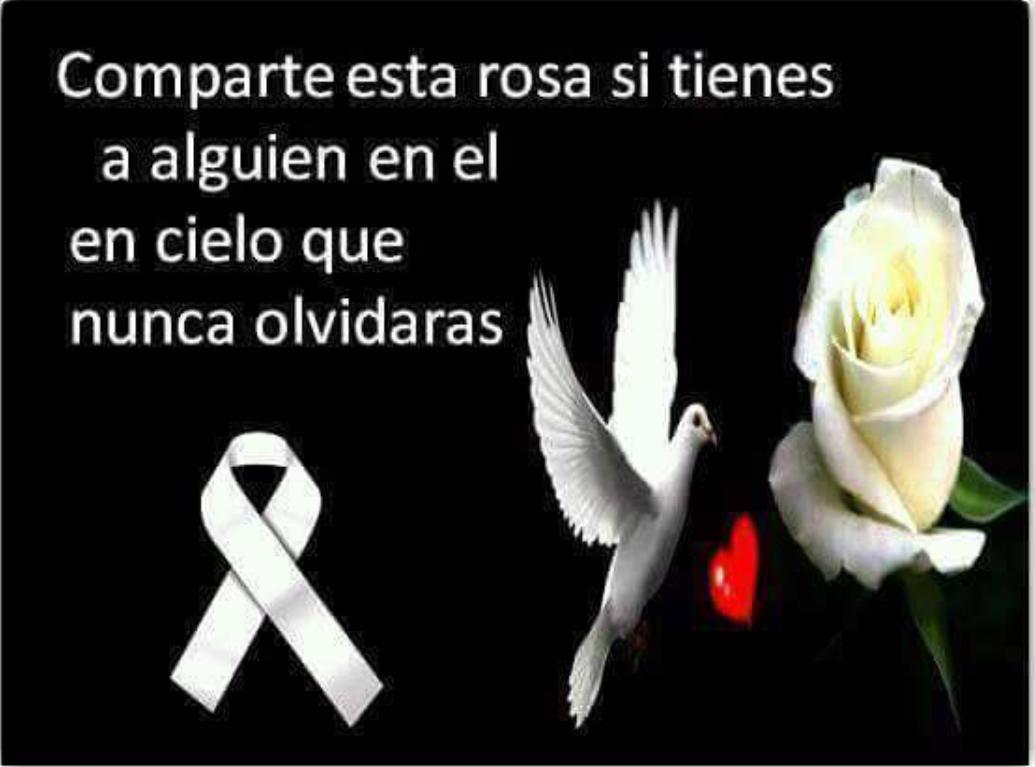 1_lunmar's tweet photo. :( http://t.co/Ekc6iXO5zW