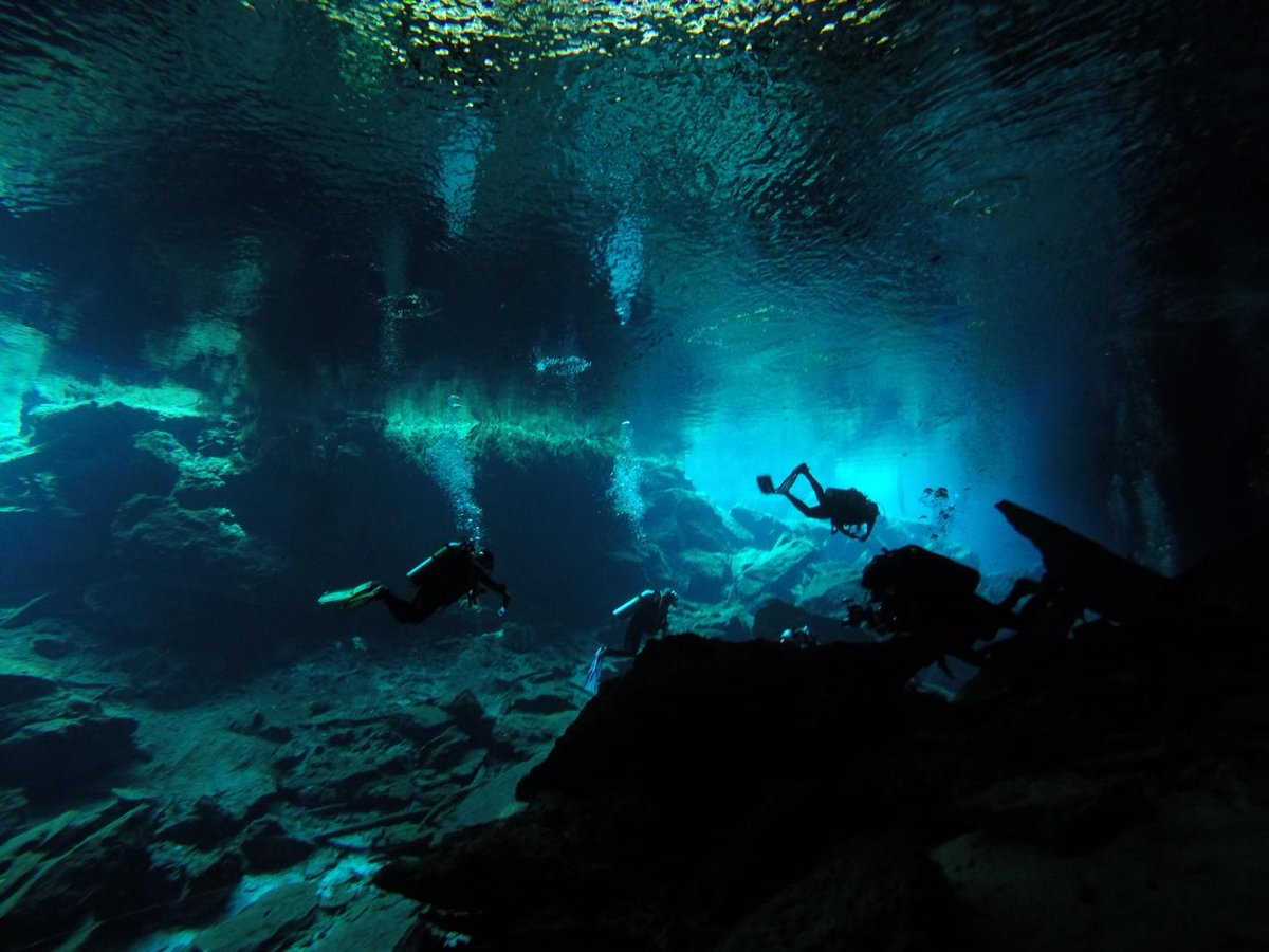 Steve read tweet media