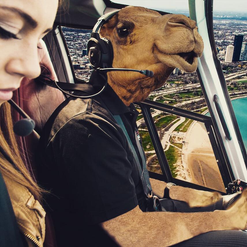 CHEtours's tweet photo. Our #cutepilot Herby is at it again. @ChooseChicago @TheMagMile @DuckInnChicago @KinzieHotel be sure to wave to him!! http://t.co/kMavpRJknL