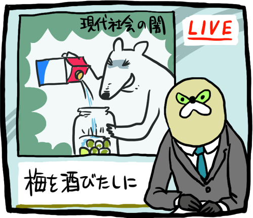 梅酒をつけました 