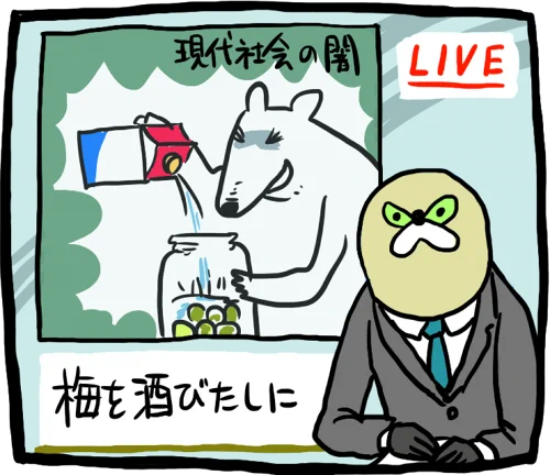 梅酒をつけました 