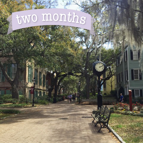 CofCSigmaKappa's tweet photo. The time is getting closer! Around two months until our leadership consultants arrive on campus. #CofCSK #Charleston http://t.co/C75QYwfwIw