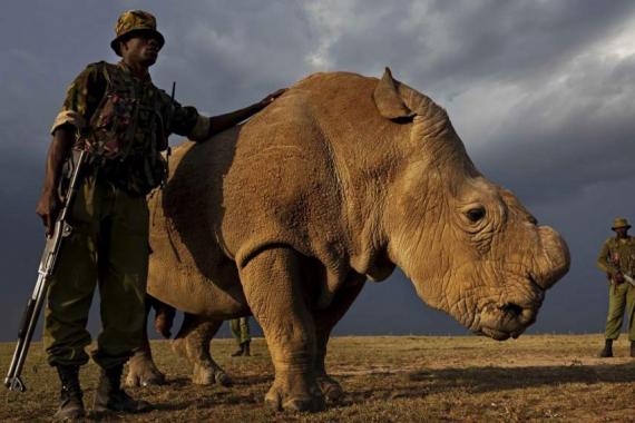 contrapunto.com tweet media