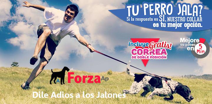 petpromex's tweet photo. https://t.co/QqV67pQPH4 http://t.co/auTdZBc08c