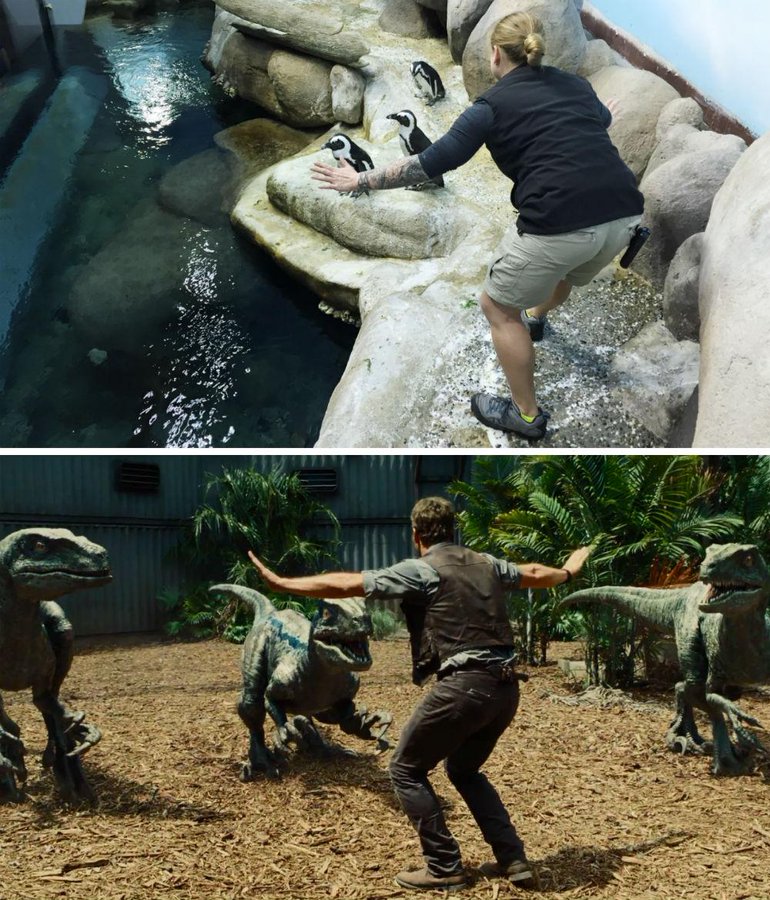 The Drum | Zookeepers Are Sparking An Online Trend By Herding Animals Like  Jurassic World's Chris Pratt