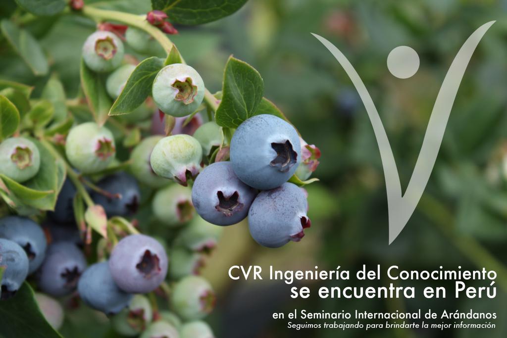 CVR tweet media