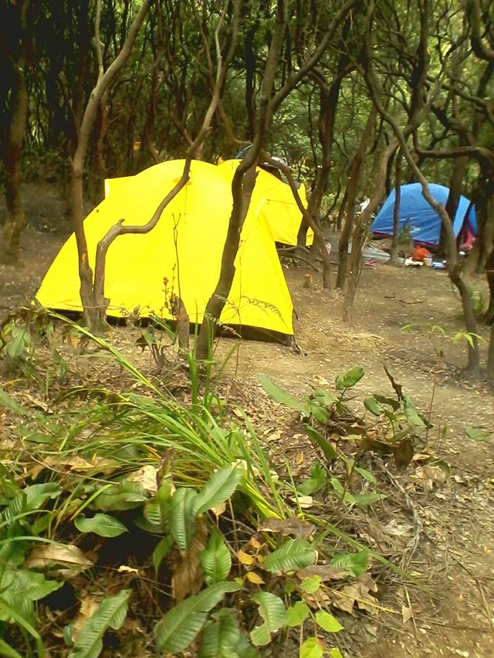 Thamscoot (@thama_chill) on Twitter photo 