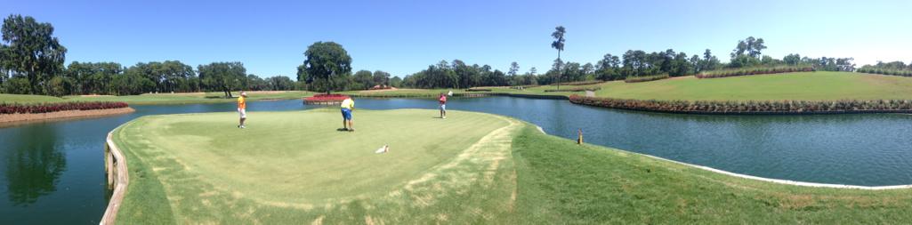 George Savaricas tweet media