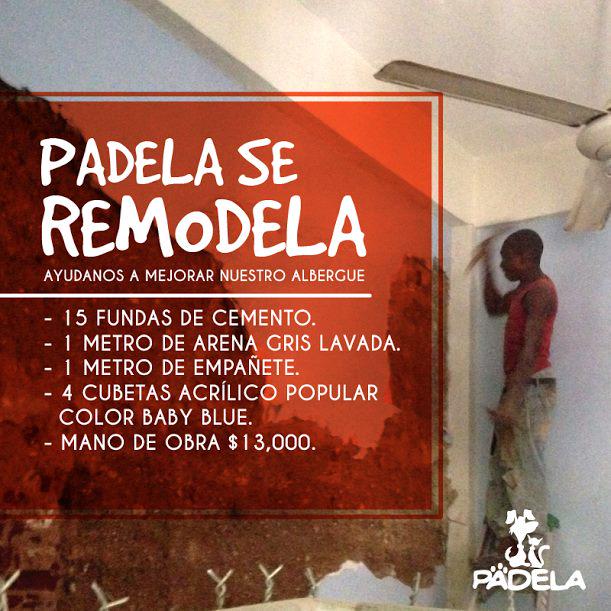 PadelaOrg tweet picture