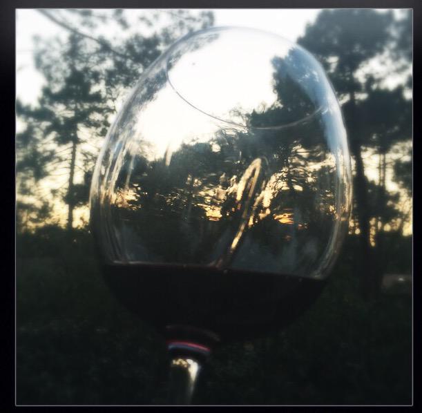 Lee__Corn's tweet photo. Dégustation VIP av. @CLOVISWINES ds un verre #Helicium! Impressionnant! Des pales dans un verre! #StAndeol #Cairanne http://t.co/8qMKHBkEFM