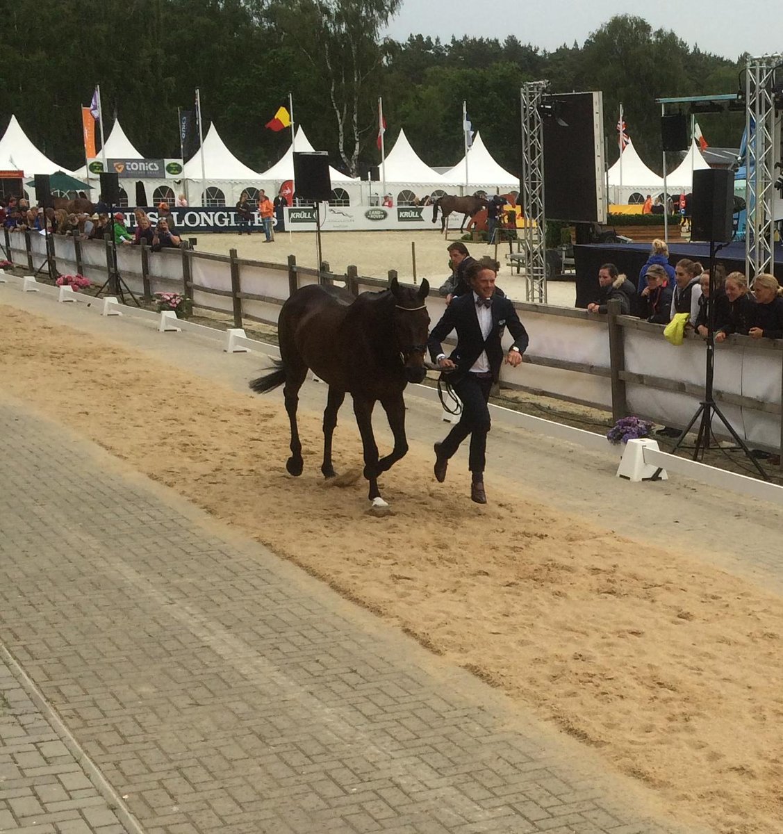 GermanEventing's tweet photo. 1st Horse inspection @luhmuehlen2015 #eventing http://t.co/w7yqbaPvXl