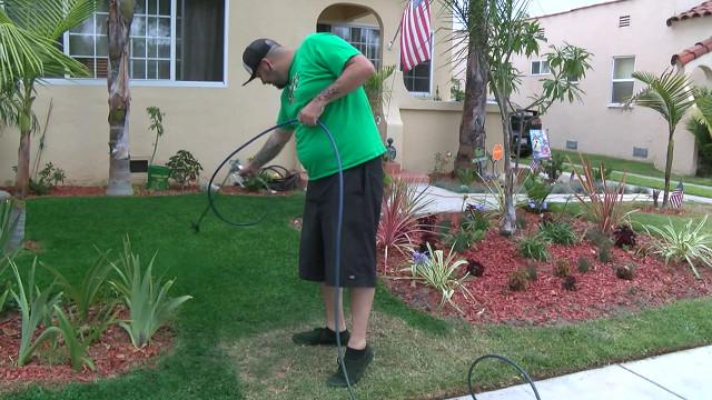 bbcmundo's tweet image. En California pintan los jardines de verde por culpa de la sequía bbc.in/1R3Ifr6