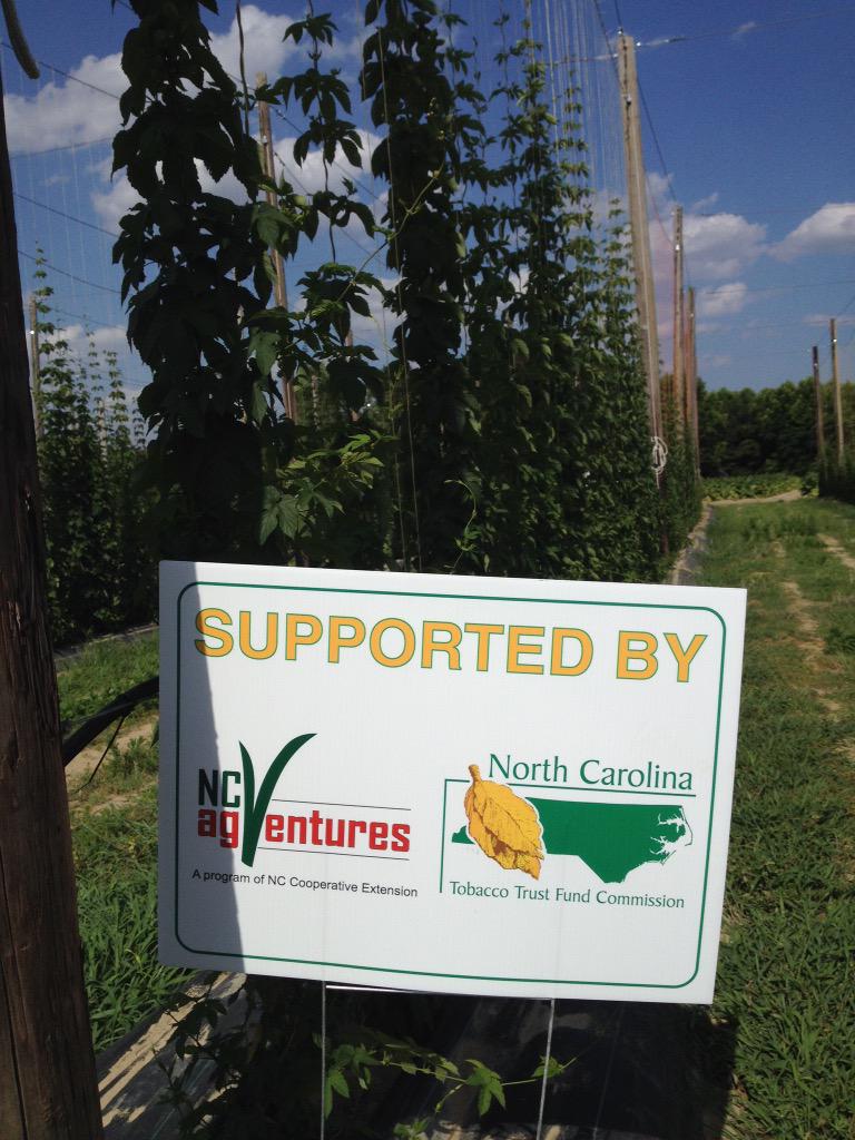 cardinalpine's tweet image. Proudly displaying NC AgVenture &amp;amp; the Tobacco Trust Commission support for the expansion of hops in Wilson, NC. #hops